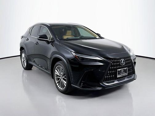 2023 Lexus NX 350 Luxury