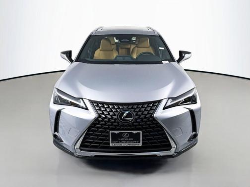 2025 Lexus UX 300h Premium