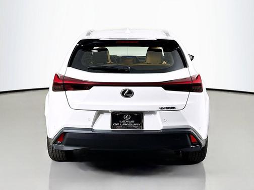 2026 Lexus UX 300h Premium
