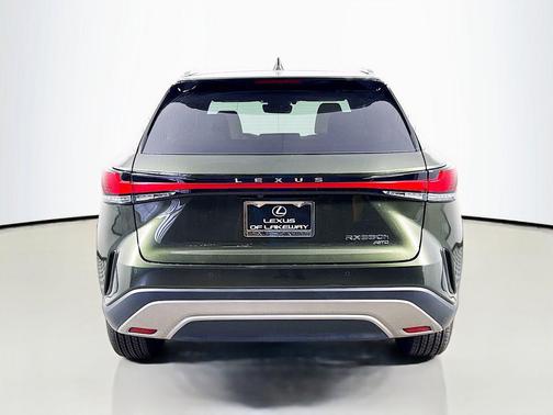 Nori Green Pearl 2024 Lexus RX 350 Premium