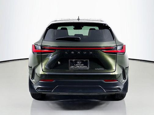 Nori Green Pearl 2024 Lexus NX 250 Base