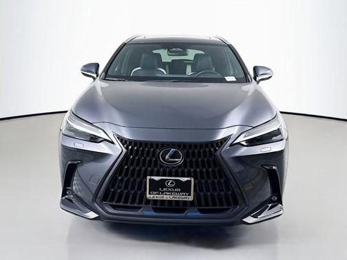 2023 Lexus NX 350 Luxury