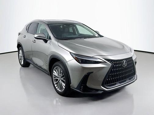 2025 Lexus NX 350 Premium