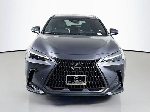 2024 Lexus NX 250 Premium