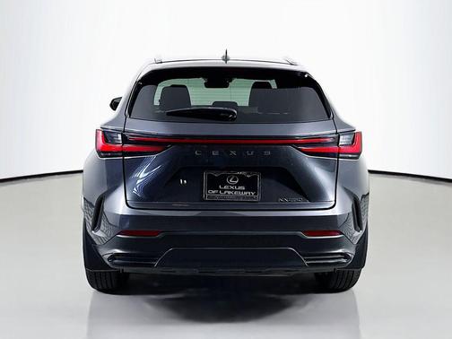 2024 Lexus NX 250 Premium