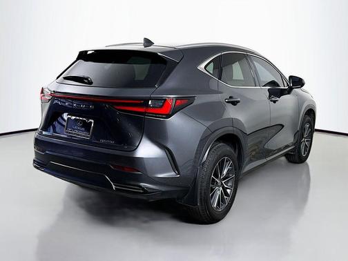 2024 Lexus NX 250 Premium