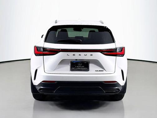 White Pearl 2025 Lexus NX 250 Premium