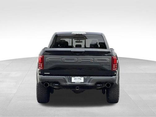 Black Metallic 2019 Ford F-150 Raptor