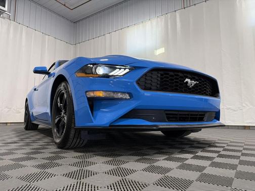 2022 Ford Mustang EcoBoost