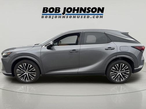 Nebula Gray Pearl 2023 Lexus RX 350 Premium Plus