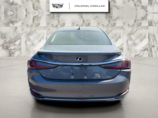 Nebula Gray Pearl 2021 Lexus ES 250 Luxury