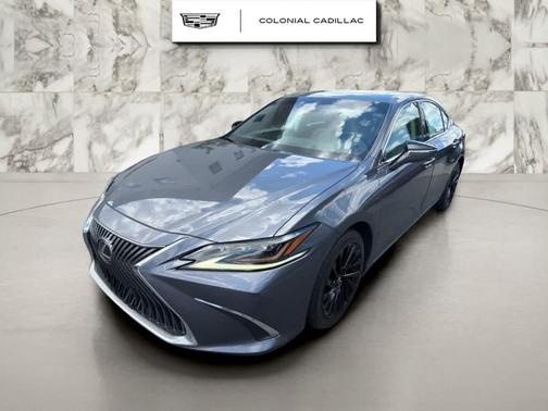 Nebula Gray Pearl 2021 Lexus ES 250 Luxury