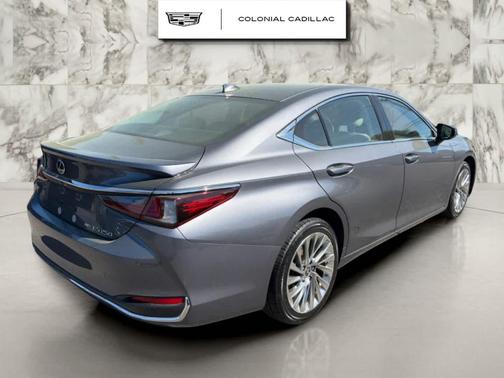 Nebula Gray Pearl 2021 Lexus ES 250 Luxury