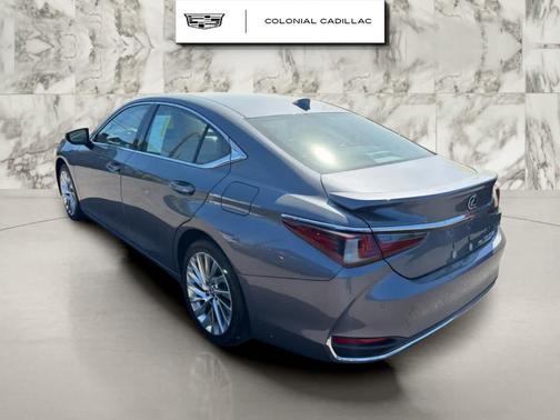 Nebula Gray Pearl 2021 Lexus ES 250 Luxury