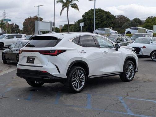 2024 Lexus NX 350 Luxury