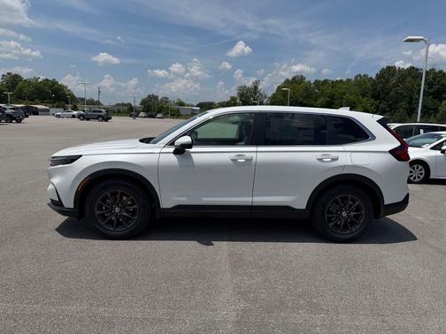 Platinum White Pearl 2026 Honda CR-V EX-L 2WD