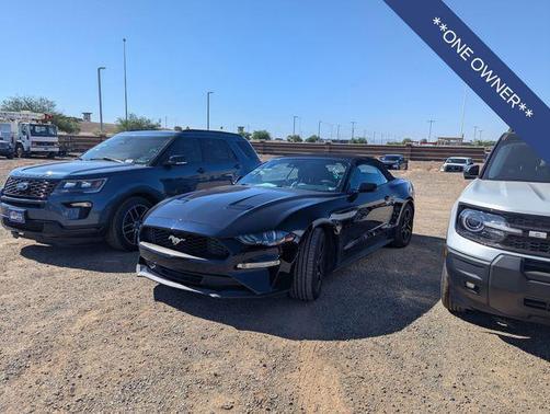 Antimatter Blue Metallic 2021 Ford Mustang EcoBoost Premium