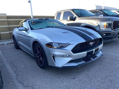 2019 Ford Mustang 