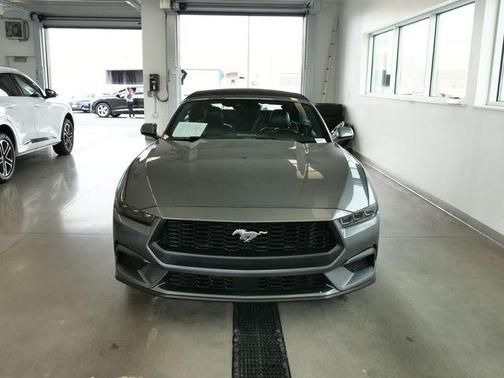 Gray 2025 Ford Mustang EcoBoost Premium