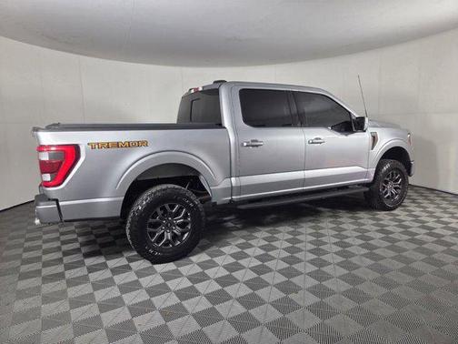Iconic Silver Metallic 2023 Ford F-150 Tremor