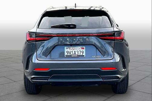Cloudburst Gray 2024 Lexus NX 350 Premium