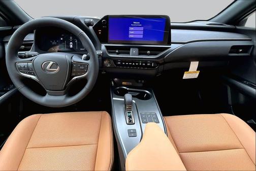 Iridium 2026 Lexus UX 300h Premium