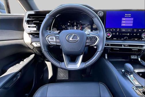 Cloudburst Gray 2025 Lexus RX 350 Premium