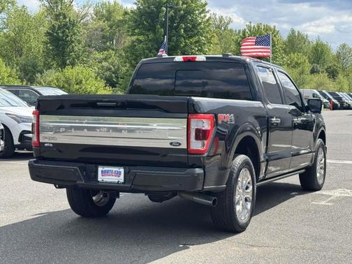 Agate Black Metallic 2021 Ford F-150 Platinum