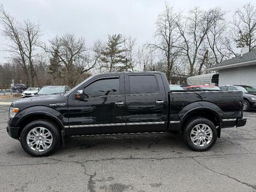 2014 Ford F-150 Platinum