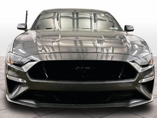 Magnetic 2019 Ford Mustang GT