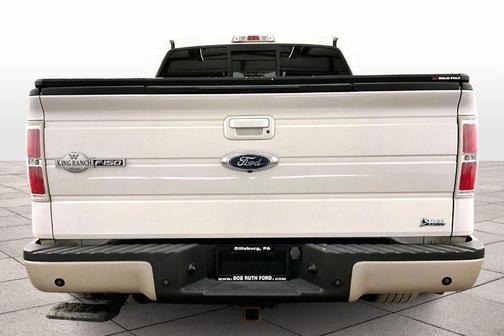 2010 Ford F-150 Platinum SuperCrew