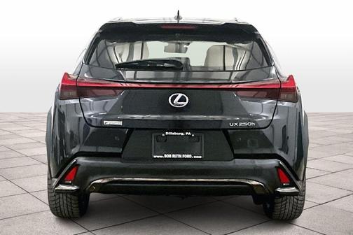2019 Lexus UX 250h UX 250h F SPORT