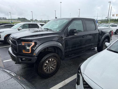 Agate Black Metallic 2019 Ford F-150 Raptor