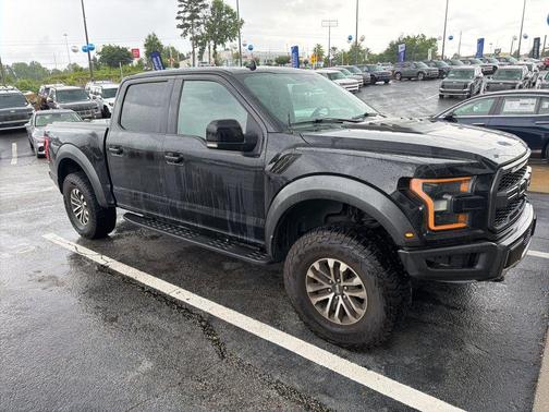 Agate Black Metallic 2019 Ford F-150 Raptor