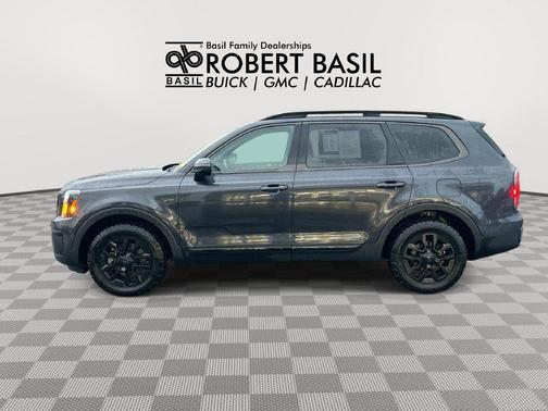 Panthera Metal 2025 Kia Telluride EX X-Pro