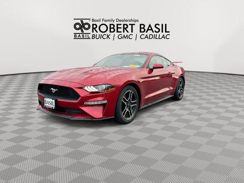 Rapid Red Metallic Tinted Clearcoat 2020 Ford Mustang EcoBoost