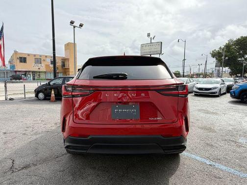 2025 Lexus NX 250 Premium