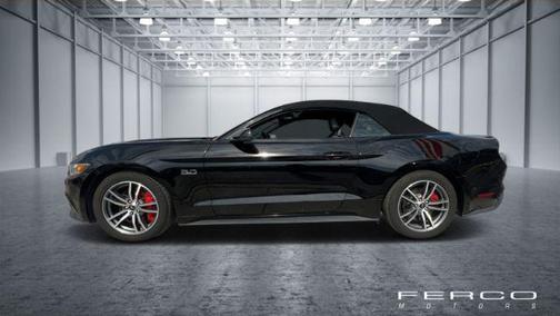 Black with Black Cloth Roof 2015 Ford Mustang GT Premium