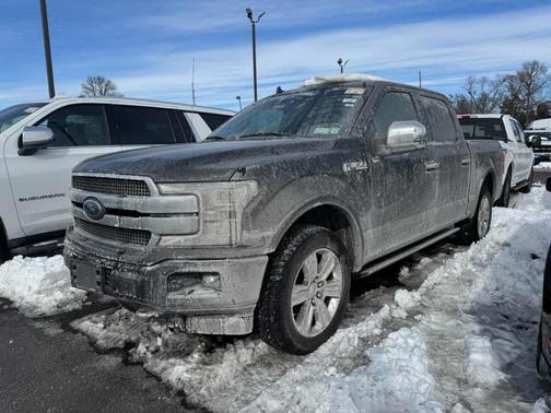 2019 Ford F-150 Platinum