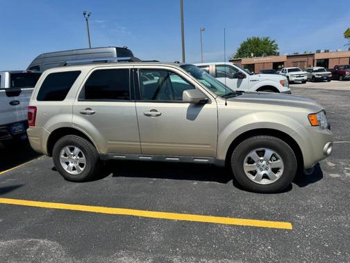 Gold Leaf Metallic 2012 Ford Escape Limited