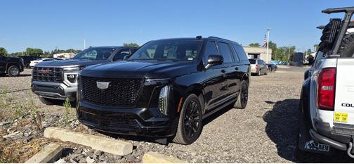 Black Raven 2025 Cadillac Escalade ESV Sport Platinum