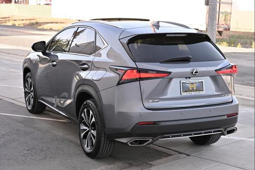 Nebula Gray Pearl 2021 Lexus NX 300 F Sport