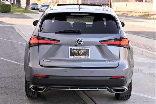 Nebula Gray Pearl 2021 Lexus NX 300 F Sport