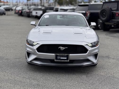 2019 Ford Mustang EcoBoost