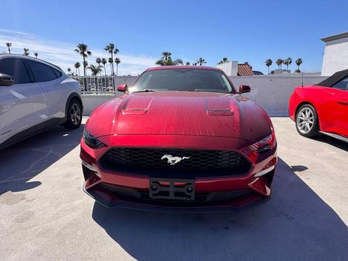 2019 Ford Mustang EcoBoost