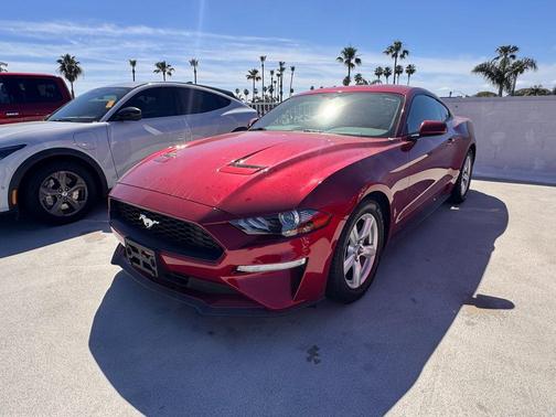 2019 Ford Mustang EcoBoost