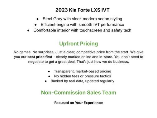 Steel Gray 2023 Kia Forte LXS