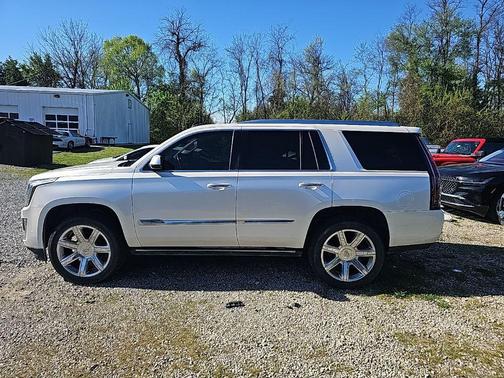 White Diamond Tricoat 2015 Cadillac Escalade Premium