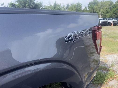 Carbonized Gray Metallic 2024 Ford F-150 STX