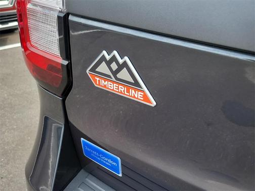 2024 Ford Expedition Timberline